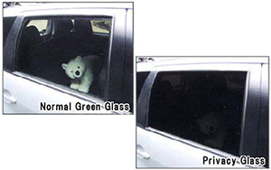Green Tint Auto Glass and Privacy Auto Glass